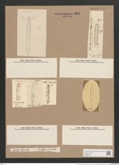 Navicula icostauron (Ehr.?) (de-Toni-Nr.: Genus 1, Species 384) Zeichnungen Sammlung Grunow Nr. 862 (NHMW-BOT-W0367308)